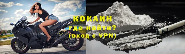 прущие грибы Елабуга