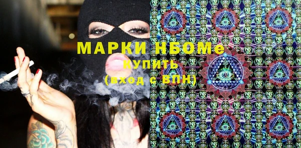 кокс Ельня