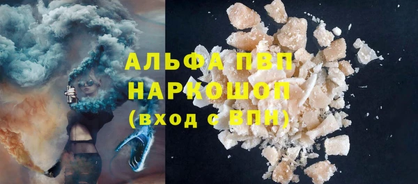прущие грибы Елабуга