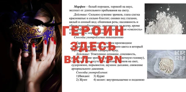 прущие грибы Елабуга