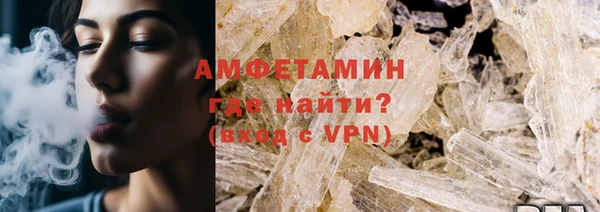 прущие грибы Елабуга
