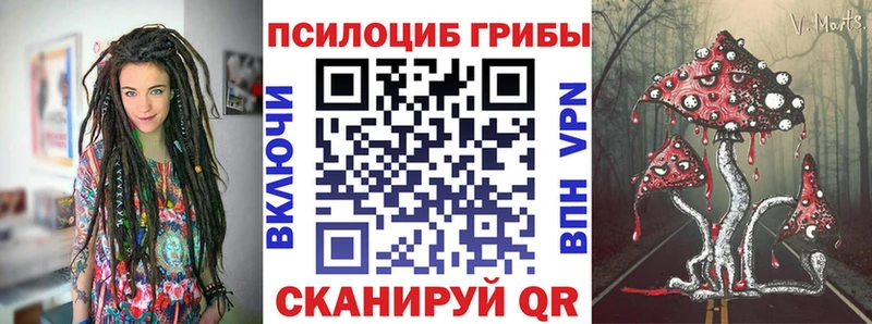Купить закладки  Конаково  Псилоцибиновые грибы прущие грибы 